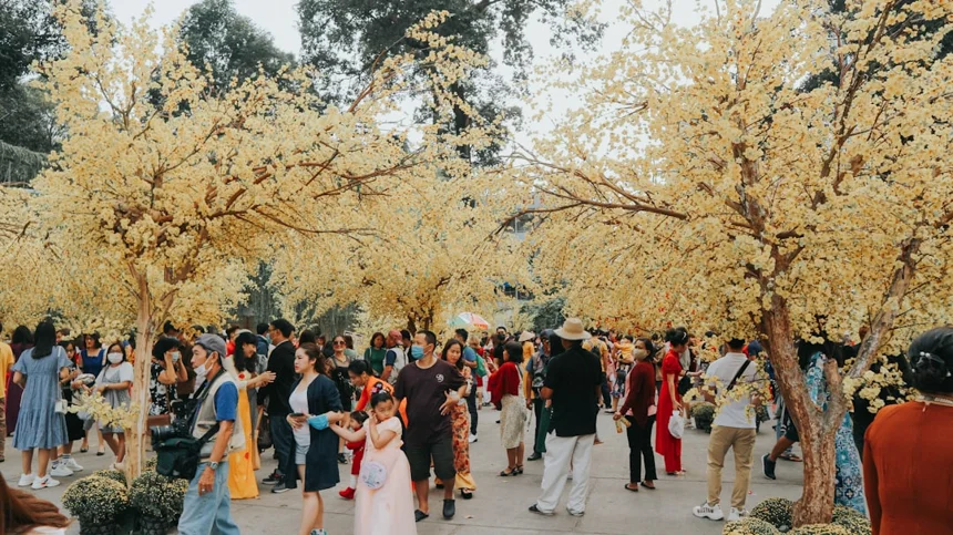 Wedding Expo